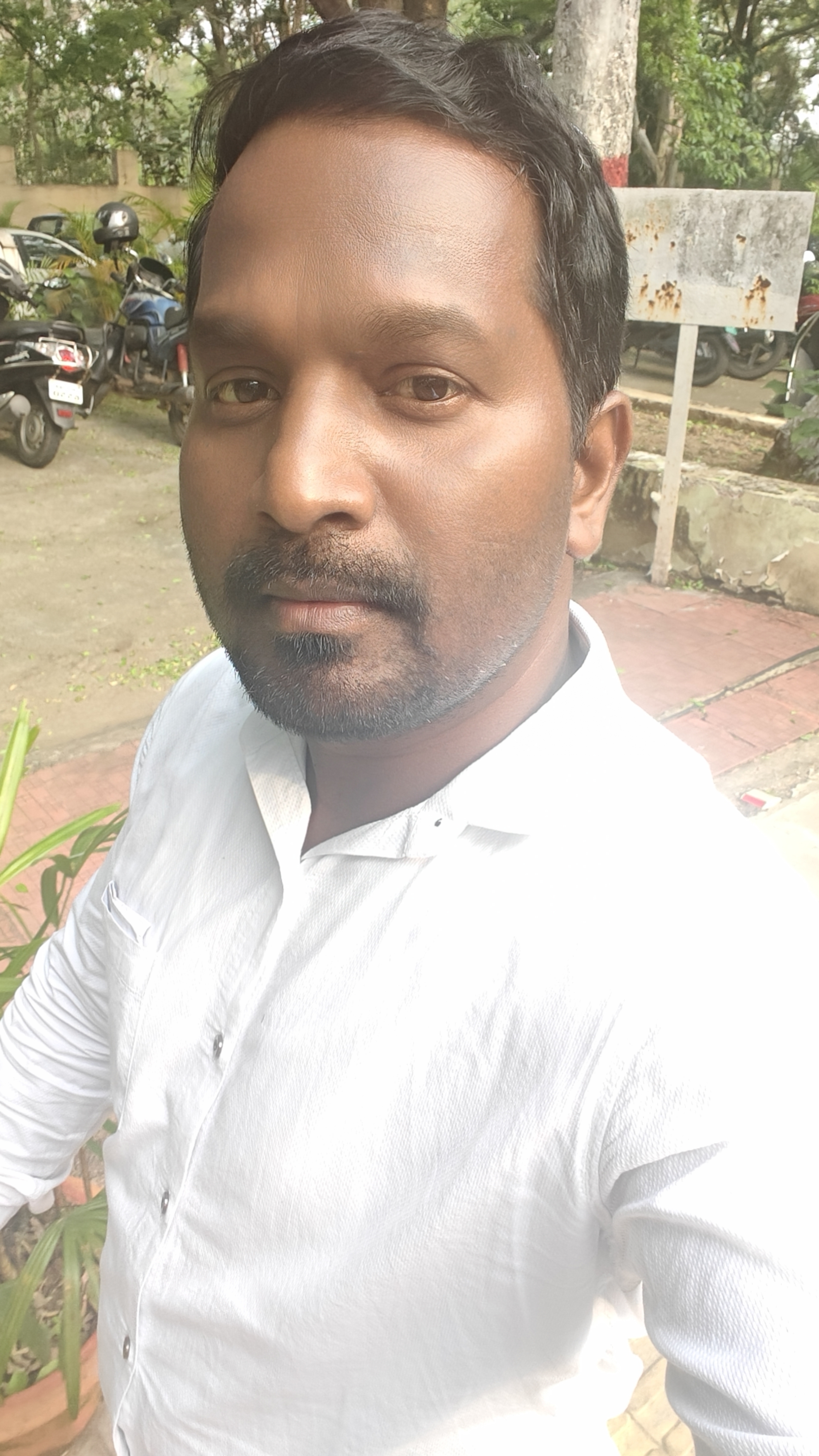 Member